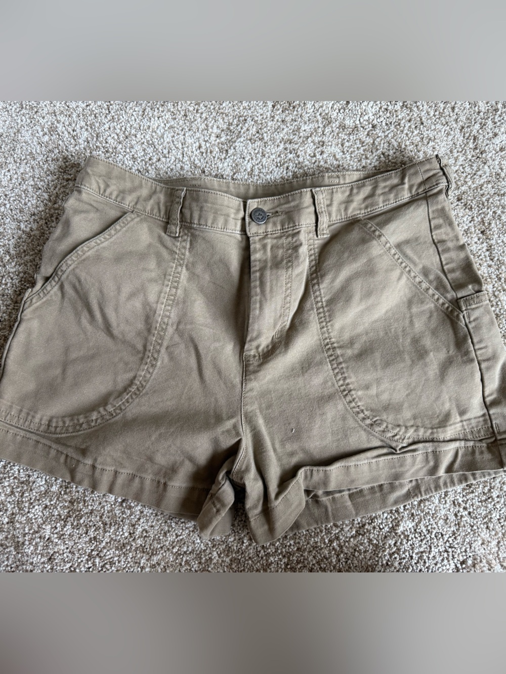 Patagonia Khaki Shorts